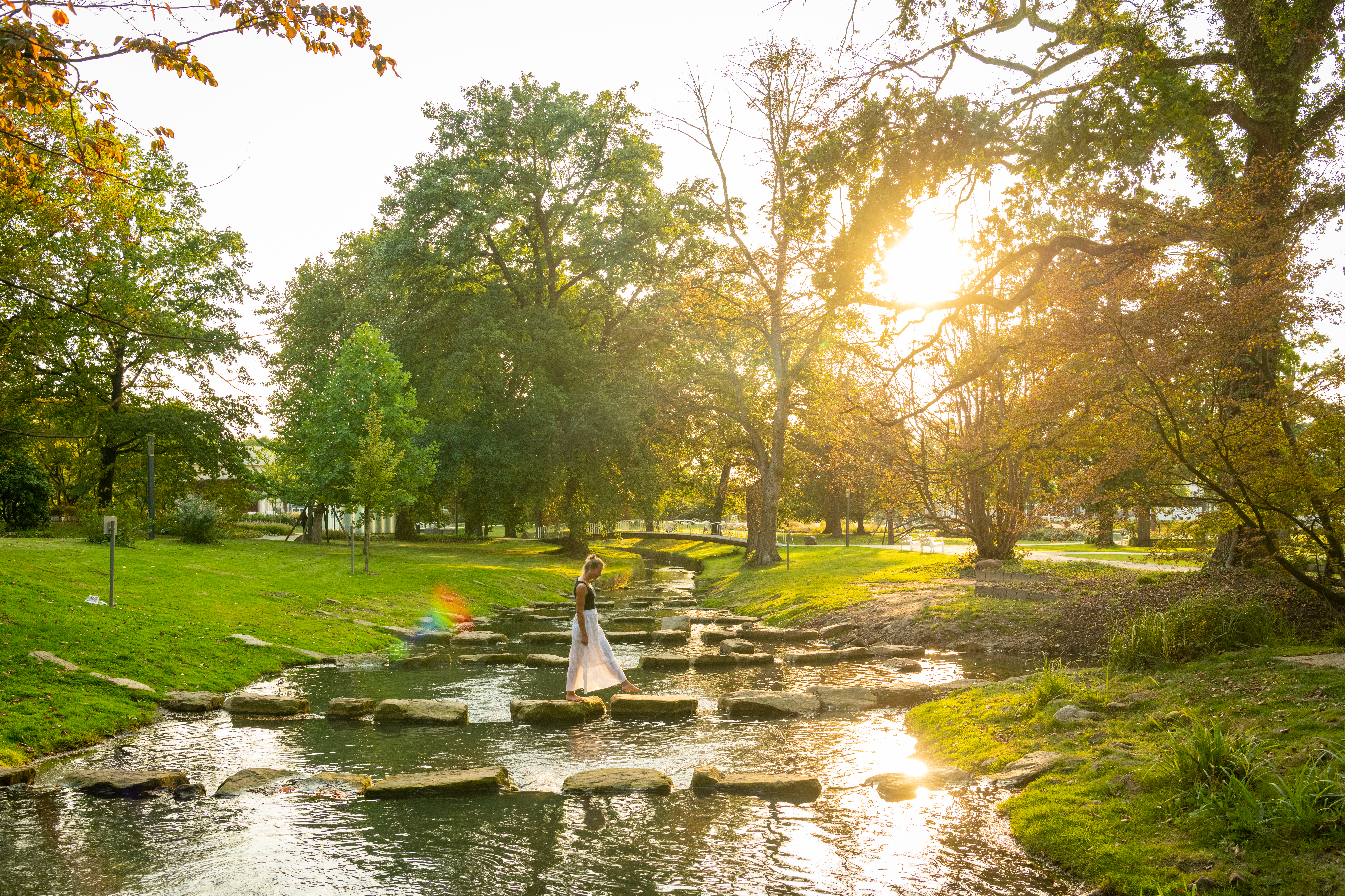 Als besonderer Anzeihungspunkt für Naturbegeisterte präsentiert sich die renaturierte Salze. Mehrere Flussschlingen lassen die Salze in einem neuen, natürlichen Flussbett durch den Park mäandern.